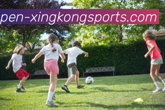 星空体育app全站App